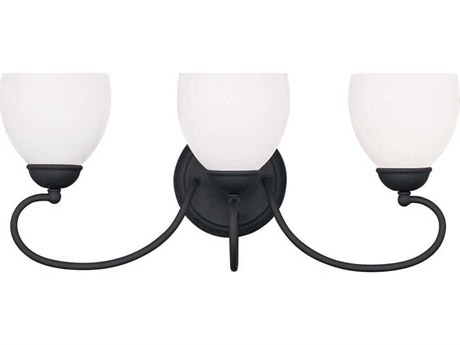 Livex Lighting Brookside 3-Light Black Glass Vanity Light
