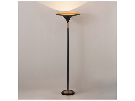 Nova Lodi Matte Black Floor Lamp