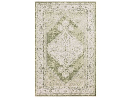 Nourison Astra Machine Washable Bordered Area Rug