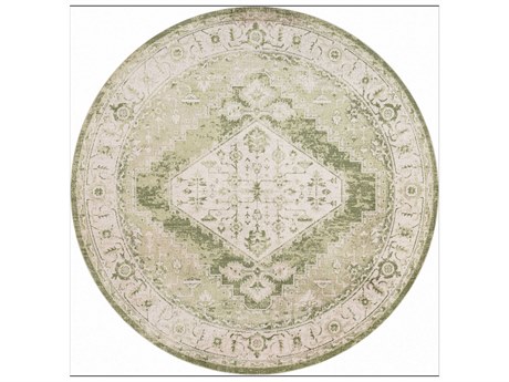 Nourison Astra Machine Washable Bordered Area Rug