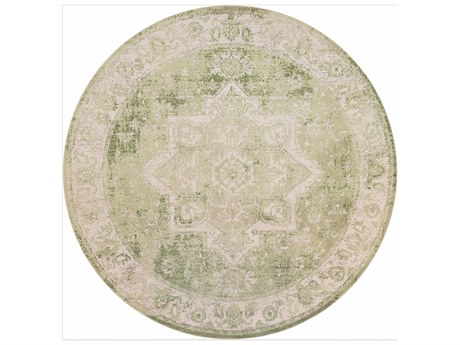 Nourison Astra Machine Washable Bordered Area Rug