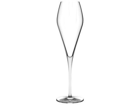 NUDE Fantasy Clear Champagne Glass Set of 2