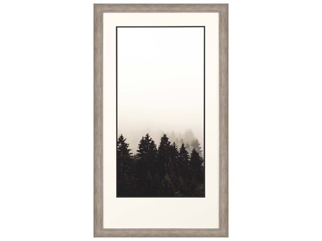Paragon Photography Misty Peak-II Wall Art