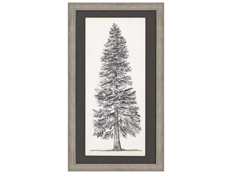 Paragon Tree Sketch-I Framed Print