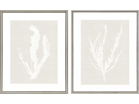 Paragon Seaweed Framed Prints Set of 2