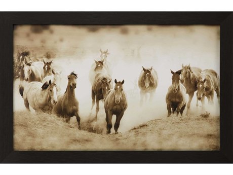 Paragon San Cristobol Horses Framed Print