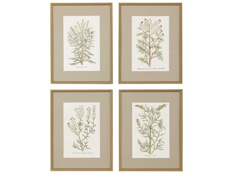 Paragon Botanical Plants Framed Prints Set of 4