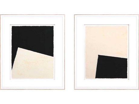 Paragon Optical-I Framed Prints Set of 2