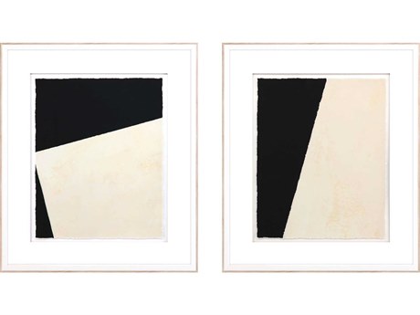 Paragon Optical-II Framed Prints Set of 2
