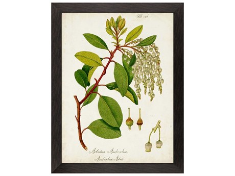 Paragon Florals Antique Greenery-IV Wall Art