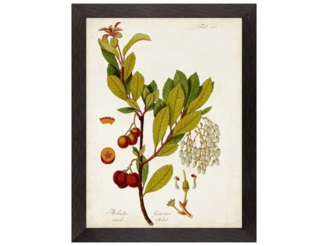 Paragon Florals Antique Greenery-III Wall Art