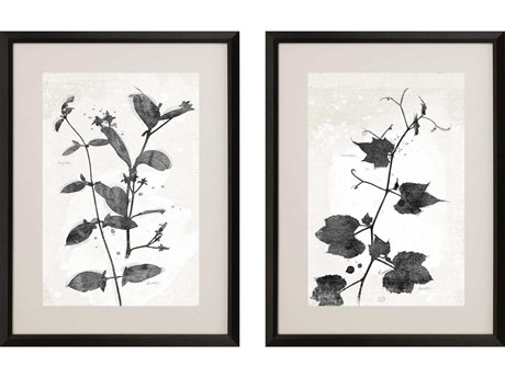 Paragon Florals Garden Vines-II Wall Art Set of 2