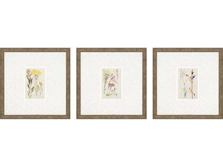 Paragon Florals Antique Botanical-II Wall Art Set of 3