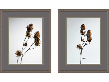Paragon Florals Dried Bud Wall Art Set of 2