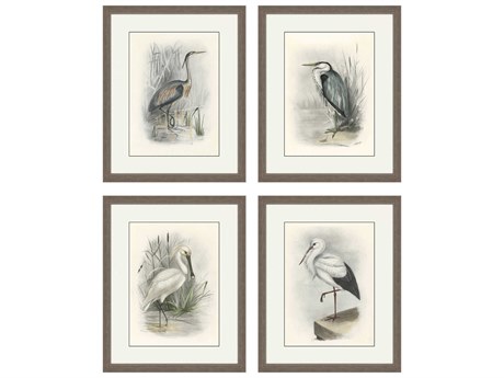 Paragon Animals Birds Wall Art Set of 4