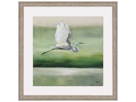 Paragon Flight Framed Art