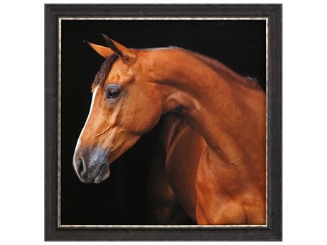 Paragon Animals Jack the Horse Wall Art