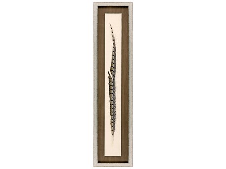 Paragon Lady Amhurst Feather Shadow Box
