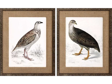 Paragon Animals Francolinus Birds Wall Art Set of 2