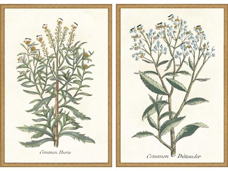 Paragon Florals Botanical Plants-I Wall Art Set of 2
