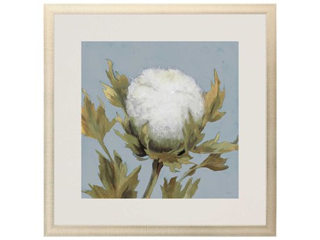 Paragon Florals Cotton Balls-I Wall Art