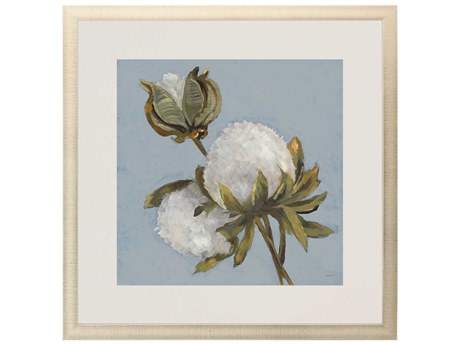 Paragon Florals Cotton Balls-II Wall Art