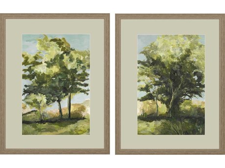 Paragon Calming Vista Wall Art Set of 2