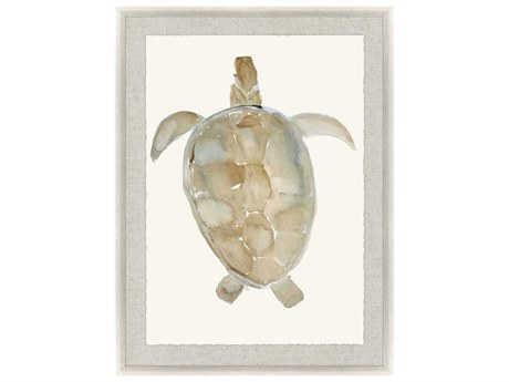 Paragon Neutral Turtle-I Wall Art