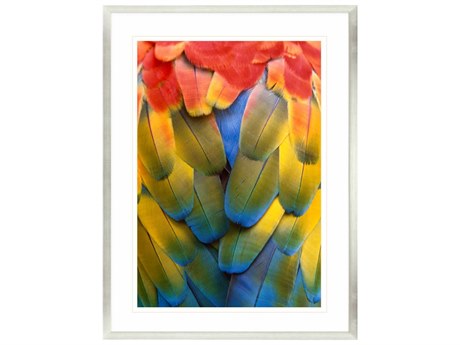 Paragon Scarlet Macaw Wall Art