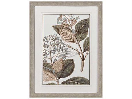 Paragon Florals Flowering Botanical-III Wall Art