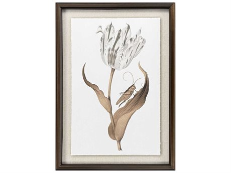 Paragon Florals Gilded Tulip - Elegance Wall Art