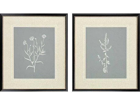 Paragon Florals Nature's Gift-II Wall Art Set of 2