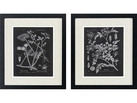 Paragon Florals Mono Botanicals-I Wall Art Set of 2