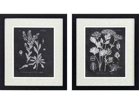 Paragon Florals Mono Botanicals-II Wall Art Set of 2