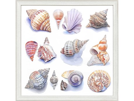 Paragon Naturals Shell Factory-I Wall Art