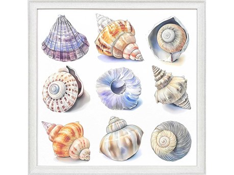 Paragon Naturals Shell Factory-II Wall Art