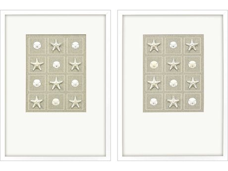 Paragon Naturals Shell Collection Shadow Box Set of 2