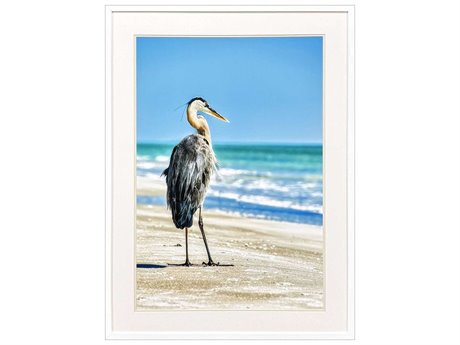 Paragon Animals Avian Perspective Wall Art