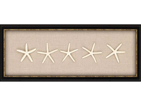 Paragon Naturals Starfish Shadow Box