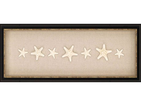 Paragon Naturals Knobby Starfish Shadow Box