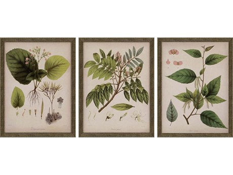 Paragon Florals Plants-I Wall Art Set of 3