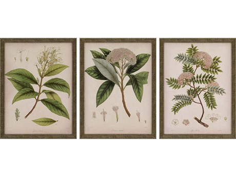 Paragon Florals Plants-II Wall Art Set of 3