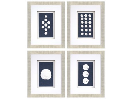 Paragon Naturals Sand Dollars Wall Art Set of 4