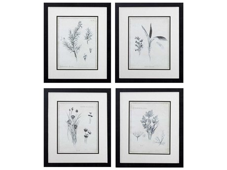 Paragon Florals Latin Botanicals Wall Art Set of 4