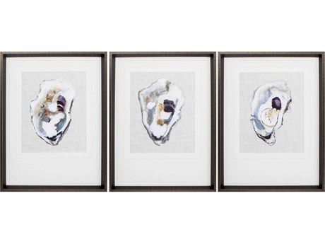 Paragon Waterside Oyster Shell Study Wall Art Set of 3