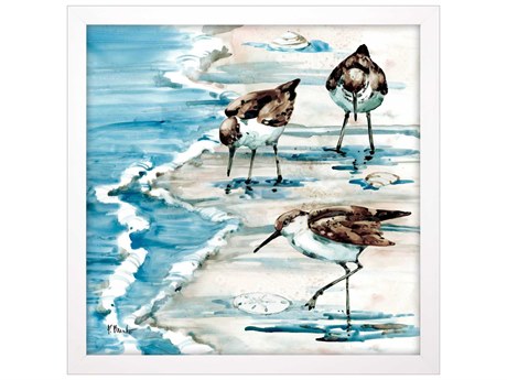 Paragon Animals Rockhampton Sandpiper Wall Art