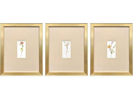 Paragon Florals Pretty Florals-II Wall Art Set of 3