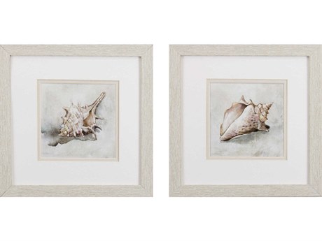 Paragon Waterside Seashell Textures Wall Art Set of 2