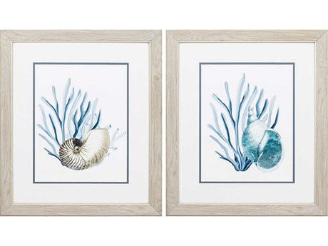 Paragon Waterside Shells & Seaweeds Wall Art Set of 2