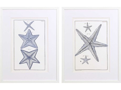 Paragon Waterside Blue Sea Stars-A Wall Art Set of 2